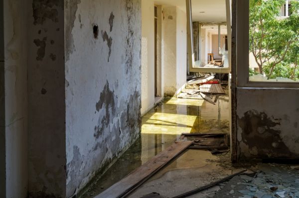Water Removal Service in Willoughby