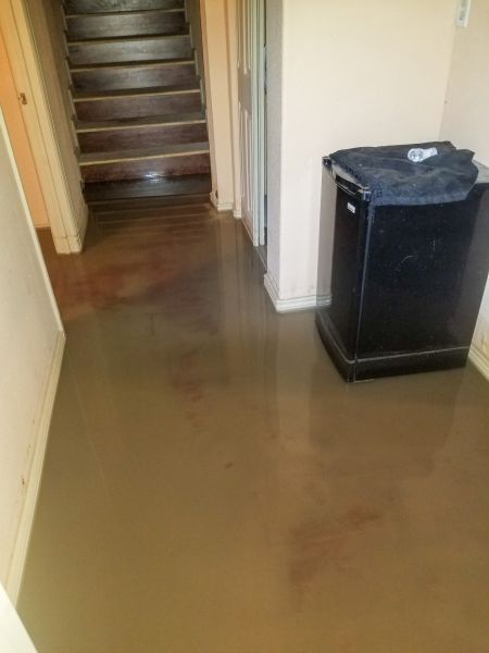 Emergency Water Removal in Willoughby